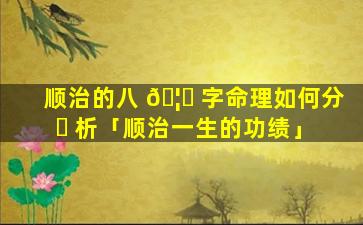 顺治的八 🦟 字命理如何分 ☘ 析「顺治一生的功绩」